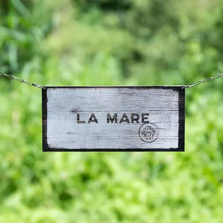 Nuits Insolites A L'etang D'une Pause ラグジュアリーテント *